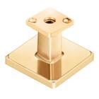 Puxador Ponto Quadrado Dourado 25mm - Hastvel