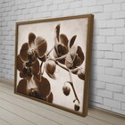 Quad 100x100 Orquidea