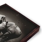 Quad 30x30 Rinoceronte