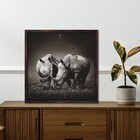 Quad 30x30 Rinoceronte