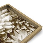 Quad 40x40 Crisantemo