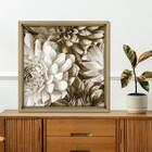 Quad 40x40 Crisantemo