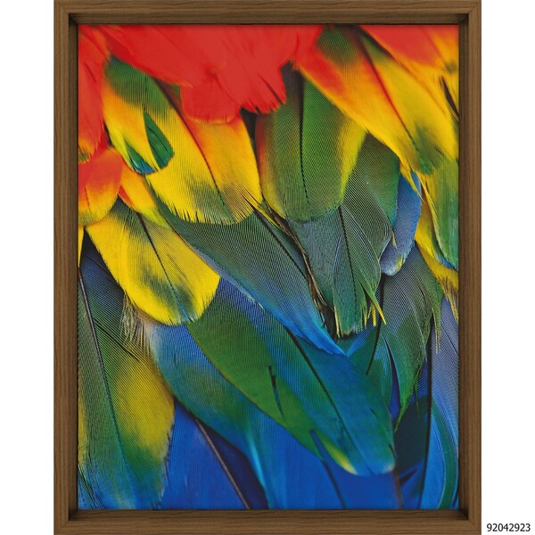 Quad 40x50 Penas Color