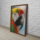 Quad 40x60 Arara Color