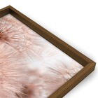 Quad 40x60 Dente de Leao