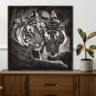 Quad 50x50 Casal Tigres