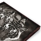 Quad 50x50 Casal Tigres