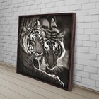 Quad 50x50 Casal Tigres