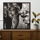 Quad 50x50 Elefante