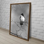 Quad 60x90 Ave Galho