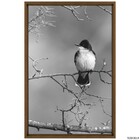 Quad 60x90 Ave Galho