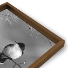 Quad 60x90 Ave Galho