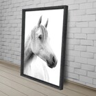 Quad 60x90 Cavalo Br