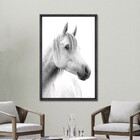 Quad 60x90 Cavalo Br