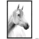 Quad 60x90 Cavalo Br