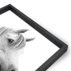 Quad 60x90 Cavalo Br