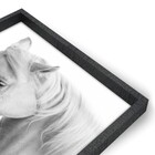 Quad 60x90 Cavalo II Br