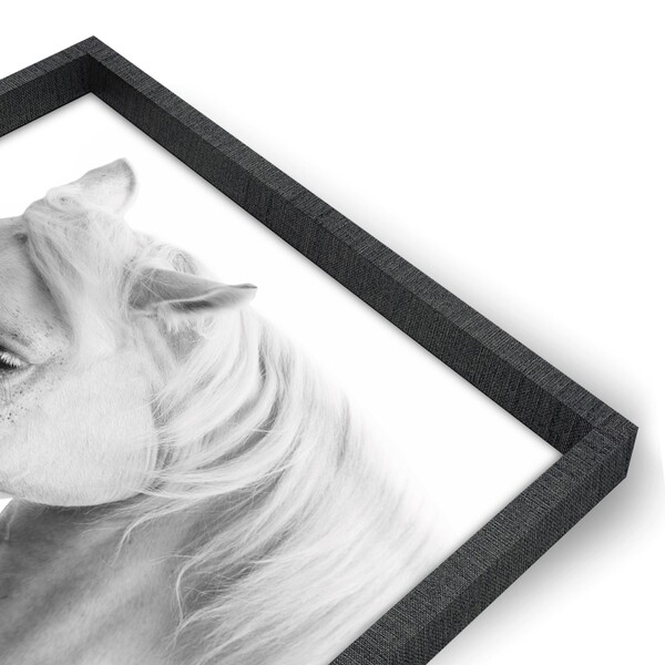 Quad 60x90 Cavalo II Br