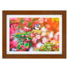 Quad E 30x40 Cerejeira/Pássaro Rs