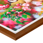 Quad E 30x40 Cerejeira/Pássaro Rs