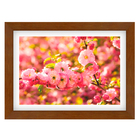 Quad E 30x40 Cerejeira Rs