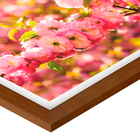 Quad E 30x40 Cerejeira Rs