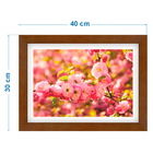 Quad E 30x40 Cerejeira Rs