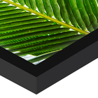 Quad H 40x70 Folha Palmeira II Vd