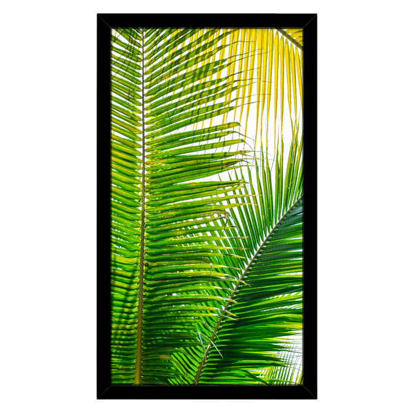 Quad H 40x70 Folha Palmeira III Vd