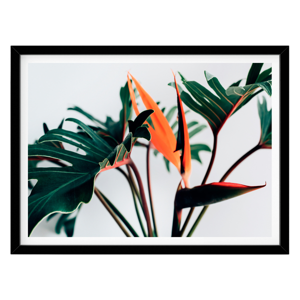 Quadro Folhas I Verde 60x80cm Leroy Merlin