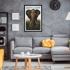 Quad I 60x90 Elefante África