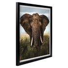 Quad I 60x90 Elefante África