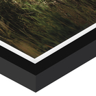 Quad I 60x90 Elefante África