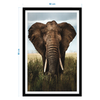 Quad I 60x90 Elefante África