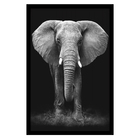 Quad I 60x90 Elefante Savana