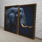 Quad Kit 70x100 Elefante Az