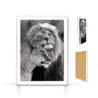 Quadrinho Amor De Leão Vertical Pb