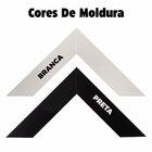 Quadrinho Leão Rei Br Artes