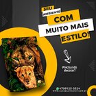 Quadrinho Leão Rei Br Artes