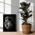 Quadrinho Perfil De Leão