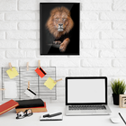 Quadrinho Realeza Do Leão -- Br Artes