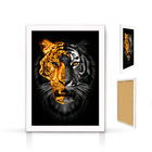 Quadrinho Tigre Ouro