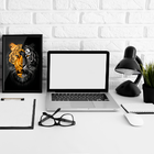 Quadrinho Tigre Ouro