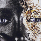 Quadro Decorativo com Vidro e Moldura de Madeira 100x70 Gold Eyes Pto