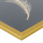 Quadro Decorativo com Vidro e Moldura de Madeira 30x45 Pena Preto