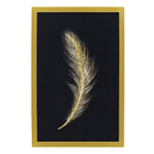 Quadro Decorativo com Vidro e Moldura de Madeira 30x45 Pena Preto