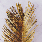 Quadro Decorativo com Vidro e Moldura de Madeira 50x50 Folha Drd