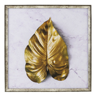 Quadro Decorativo com Vidro e Moldura de Madeira 50x50 Folha II Drd