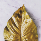 Quadro Decorativo com Vidro e Moldura de Madeira 50x50 Folha II Drd