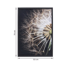 Quadro Decorativo com Vidro e Moldura de Madeira 50x70 Dandelion Preto